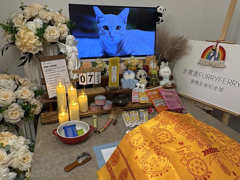 宠物纪念相册与追思布置