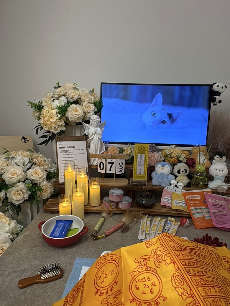 沈阳宠物殡葬门店告别厅环境